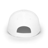 AALS Flag Logo Low Profile Baseball Cap — Patriotic Embroidered Dad Hat